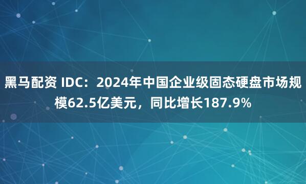 黑马配资 IDC：2024年中国企业级固态硬盘市场规模62.5亿美元，同比增长187.9%
