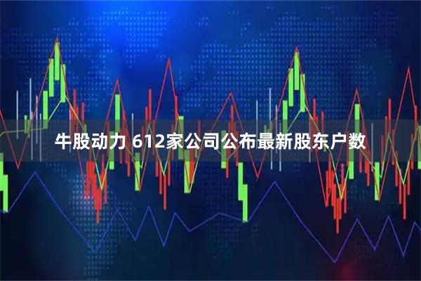 牛股动力 612家公司公布最新股东户数