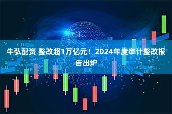 牛弘配资 整改超1万亿元！2024年度审计整改报告出炉